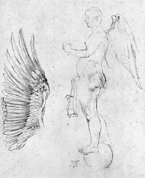 Study to a large fortune by Albrecht Durer
